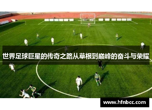 世界足球巨星的传奇之路从草根到巅峰的奋斗与荣耀